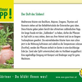 Gutscheinheft2021