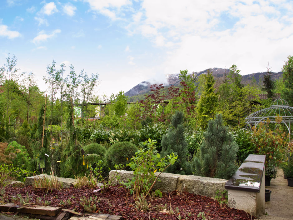 Gärtnerei Eder Gartengestaltung